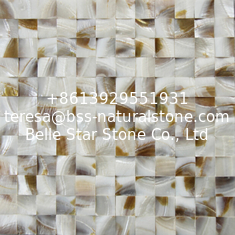China Rough Surface Beautiful Sea shell Wall Cladding Freshwater Shell Decorating Panel 30x30mm supplier