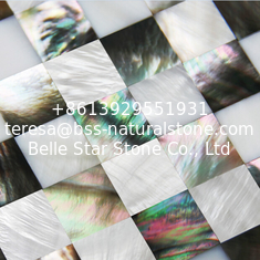 China Natural Sea shell Wall Covering Freshwater Shell Mixed Black Butterfly Shell Wall Panel supplier