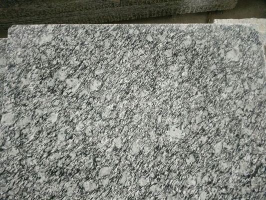 China Guangdong Silver Grey Granite Tiles Sea Wave Flower Granite Floor Tiles Granite Slabs supplier