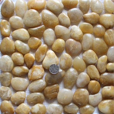 China Yellow Pebble Mosaic,Yellow Cobble Stone On Mesh,River Stone Mosaic Sheet,Meshed Pebbles supplier