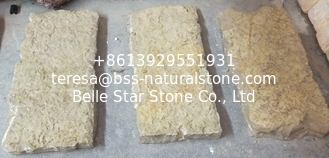 China New Yellow Slate Stepping Stones,Yellow Stepping Stairs,Yellow Patio Stones,Slate Pavement,Stone Pavers supplier