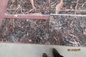 Azalea Red Marble Stairs &amp; Risers,Cuckoo Red Marble Steps,Brown Beauty Marble Staircase,China Red Marble Stair Tread supplier