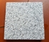 New G603 Granite Tiles,China Cheap Grey Granite,G603 Granite Floor Tiles,Grey G603 Granite Stone Pavers,Granite Patio supplier