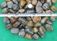 Polished Pebble Stones with Grain, Cobble Stones, River Stones,Cobble River Pebbles,Landscaping Pebbles supplier