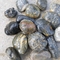 Polished Pebble Stones with Grain, Cobble Stones, River Stones,Cobble River Pebbles,Landscaping Pebbles supplier